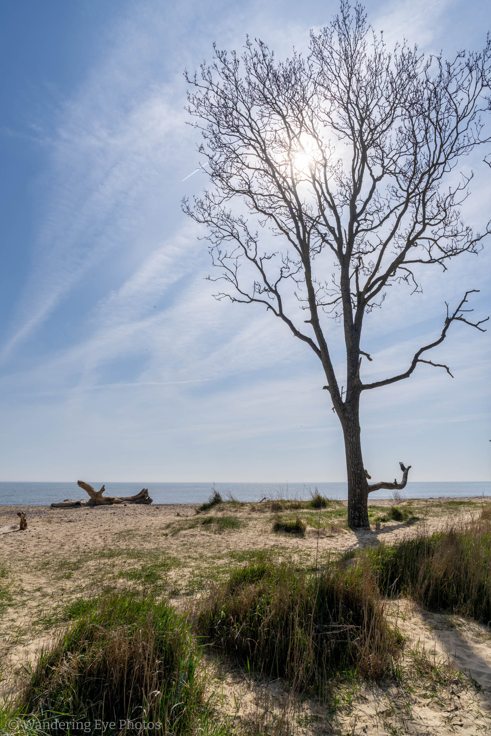 04.11 11.21.59   DSC05871 HDR